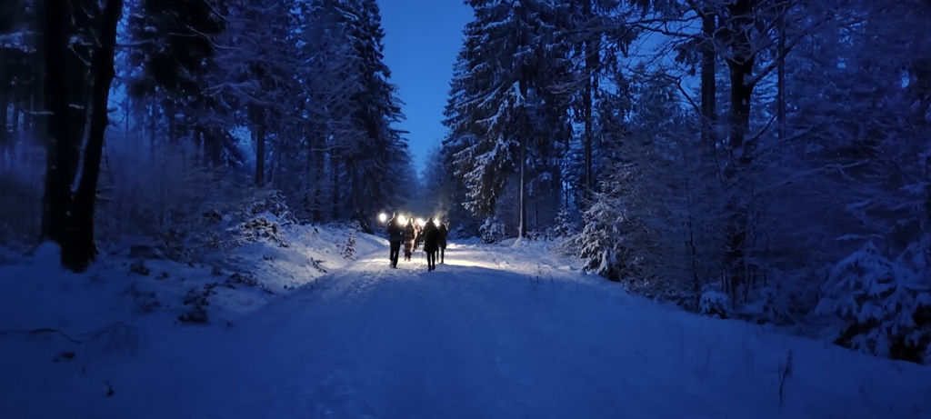 Fackelwanderung durch den verschneiten Wald